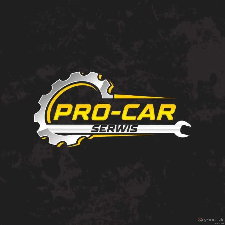 zdjęcie przedstawiające Pro-Car Serwis