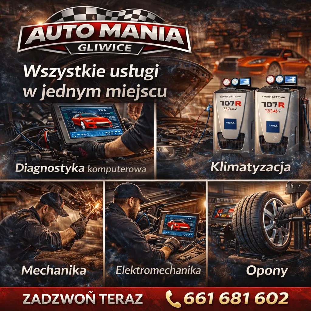 zdjęcie przedstawiające AutoMania