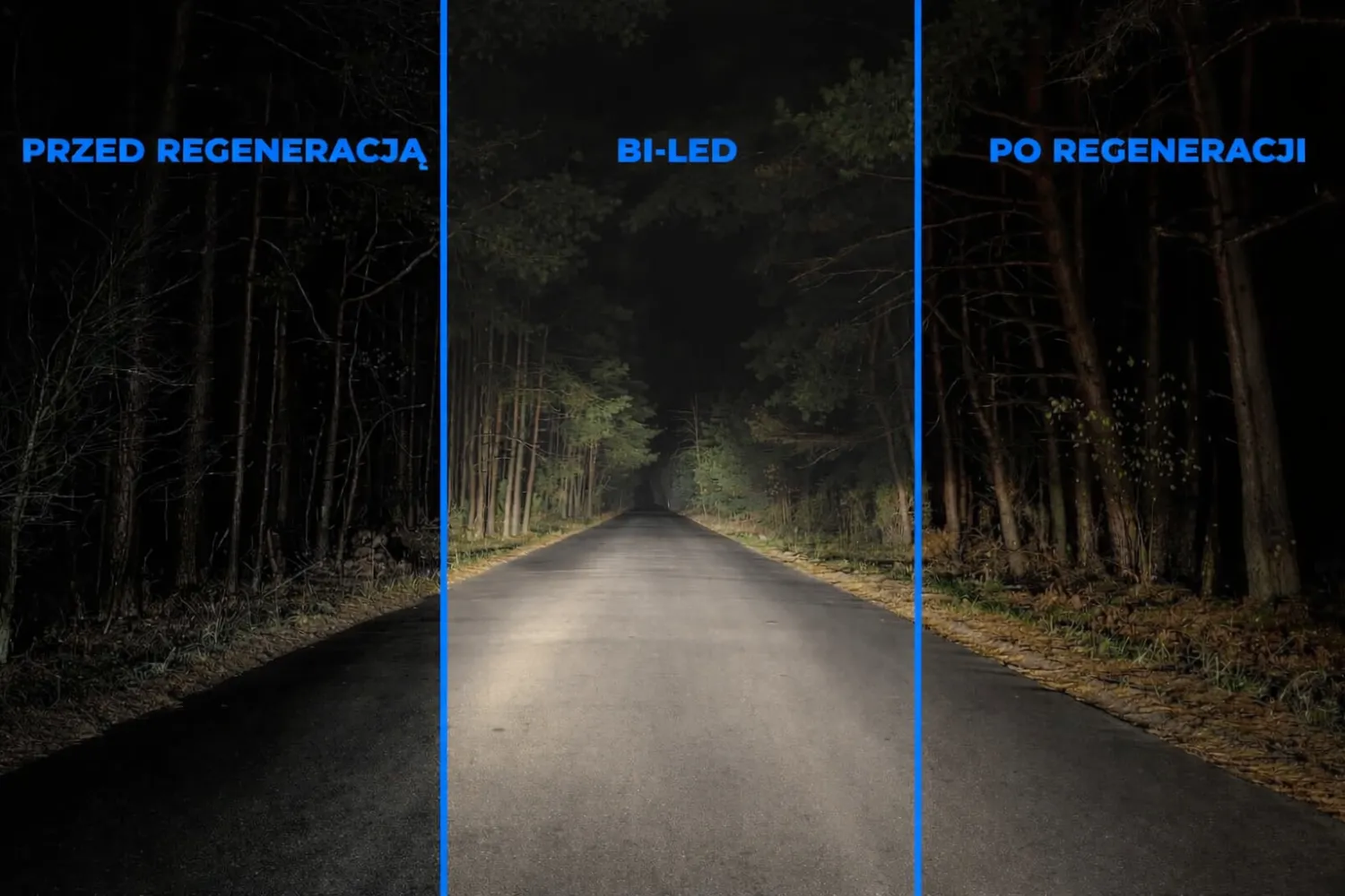 zdjęcie przedstawiające Centrum Regeneracji Lamp