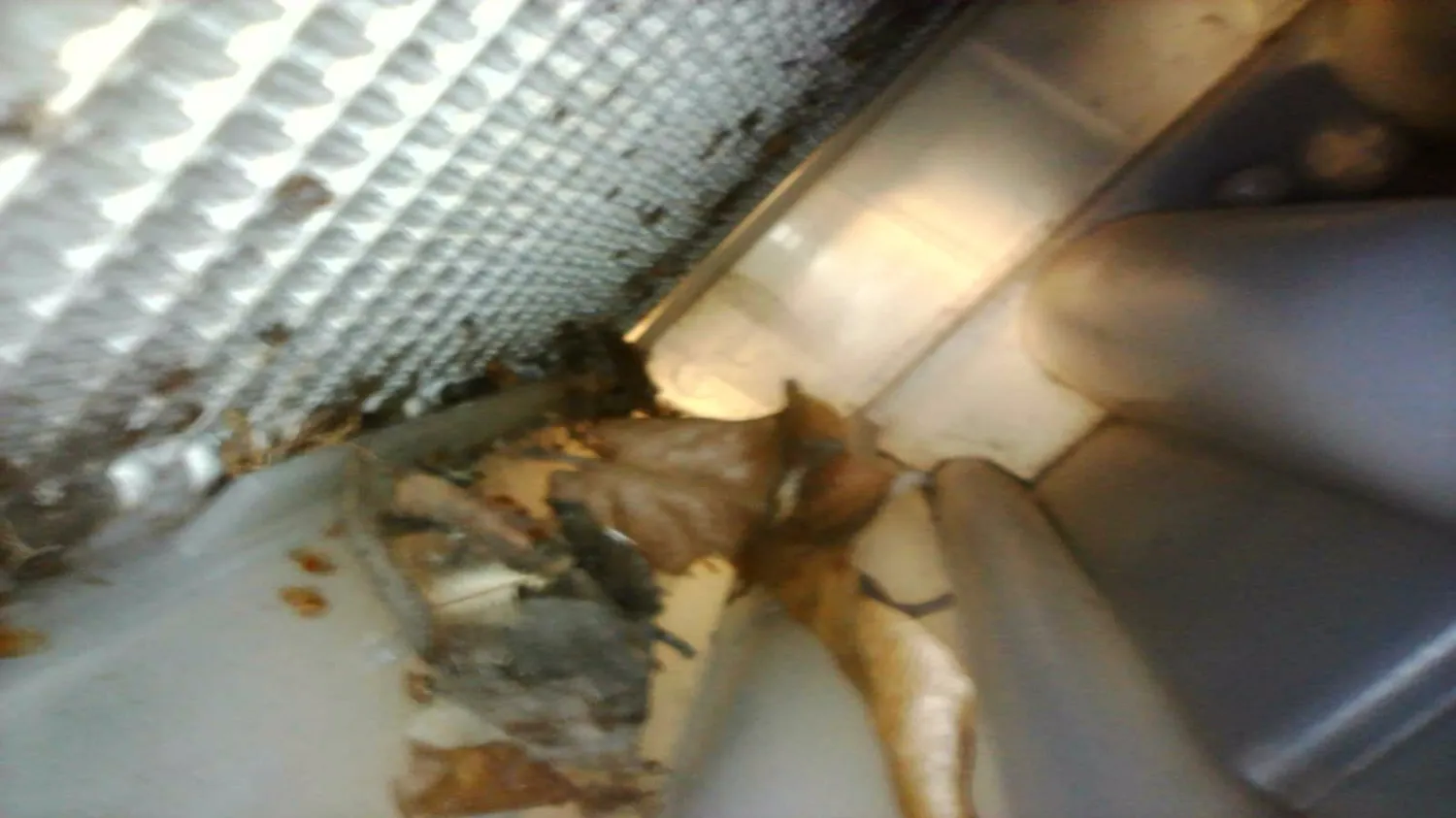 zdjęcie przedstawiające Konrad Konrad Szostek