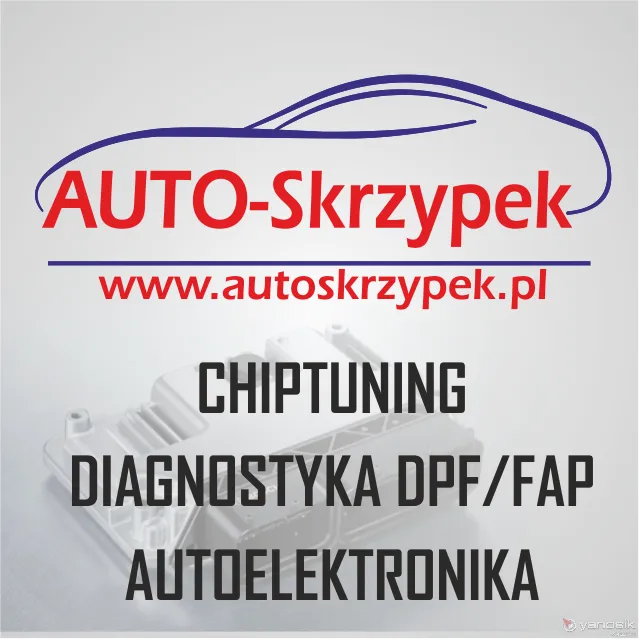 zdjęcie przedstawiające Auto-Skrzypek